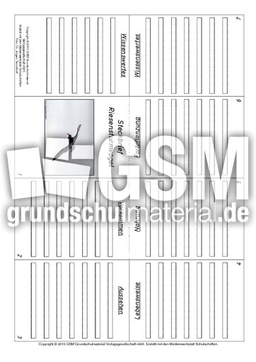 Faltbuch-Riesensturmvogel.pdf